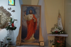 DSC02247