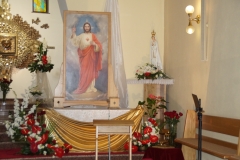 DSC02254