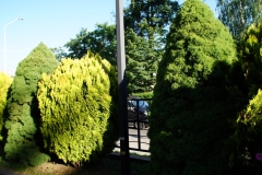 DSC02281