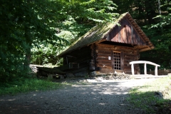 DSC01729