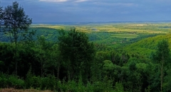IMG-20250626-WA0023