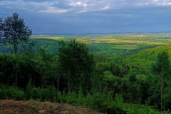 IMG-20250626-WA0023